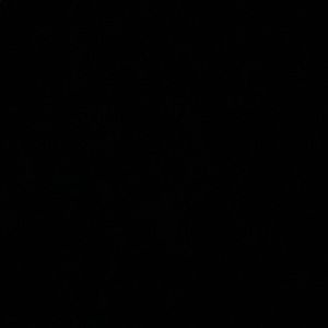 Meet your Posher, Marley